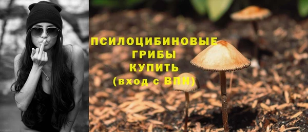 MESCALINE Белокуриха