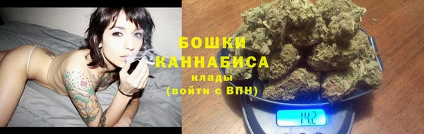 шишки Белоозёрский