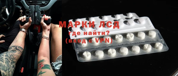 шишки Белоозёрский