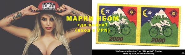 шишки Белоозёрский
