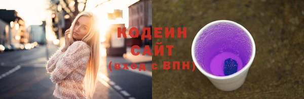 шишки Белоозёрский